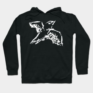 Bird flying Hoodie